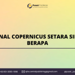 Jurnal Copernicus Setara Sinta Berapa