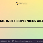 Jurnal Index Copernicus Adalah