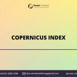 Copernicus Index